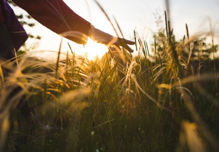 L’épargne responsable
